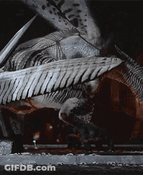High Dragon Dragon Age GIF