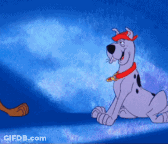 High Five Scooby-Doo Scooby-Dum GIF