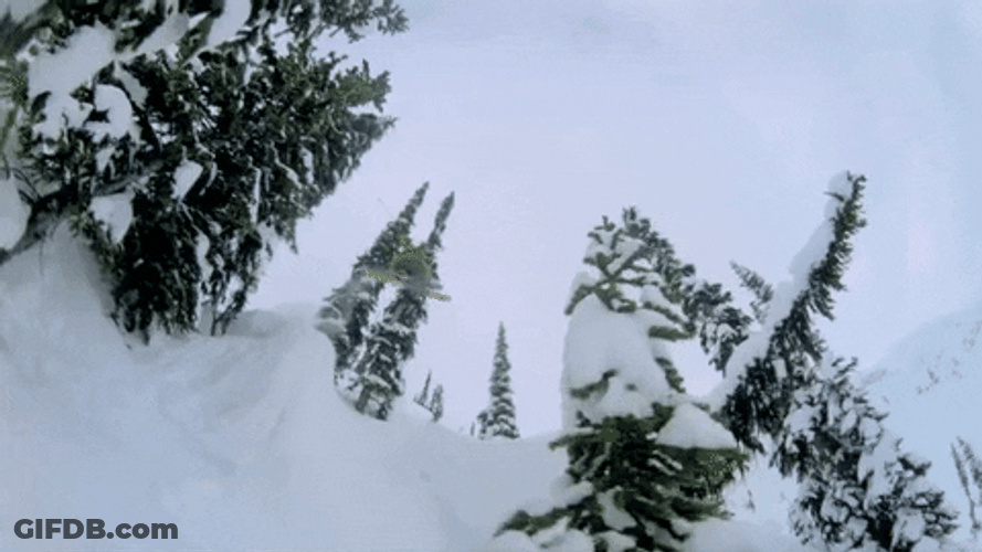 High Jump Ski Freestyle GIF