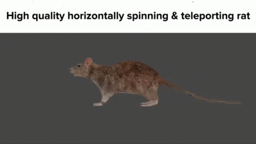 High Quality Spinning Teleporting Rat GIF