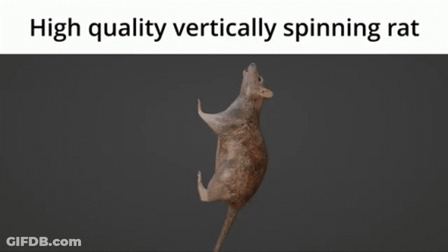 High Quality Vertical Spinning Rat Meme GIF