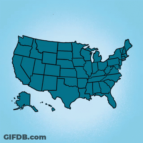 High Risk Of Rigged Elections GIF