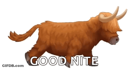 Highland Cow Running Saying Good Nite GIF
