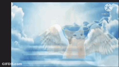 Highway To Heaven Man Walking Down Road GIF