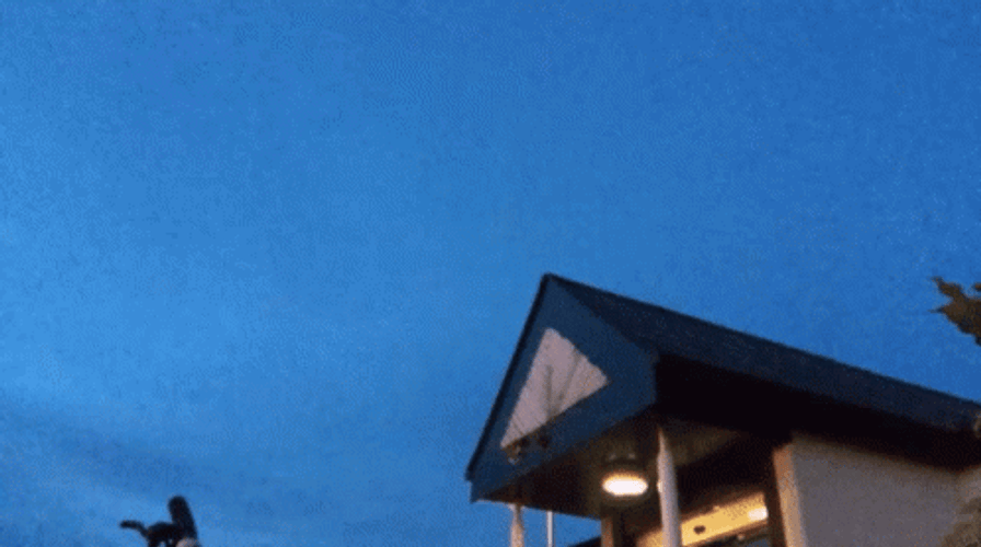 Hikomikos Teleport Edited GIF