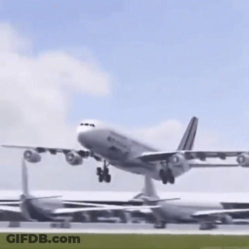 Hilarious Airplane Flying Flapping Wings GIF