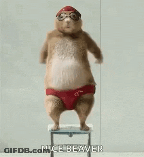 Hilarious Beaver Sexy Dance GIF