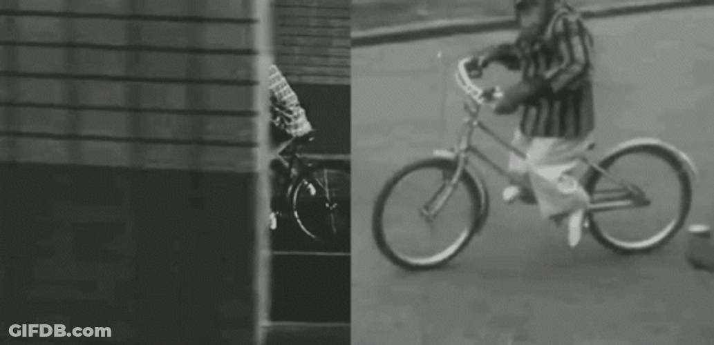 Hilarious Bike Riding Monkey Classic Footage GIF