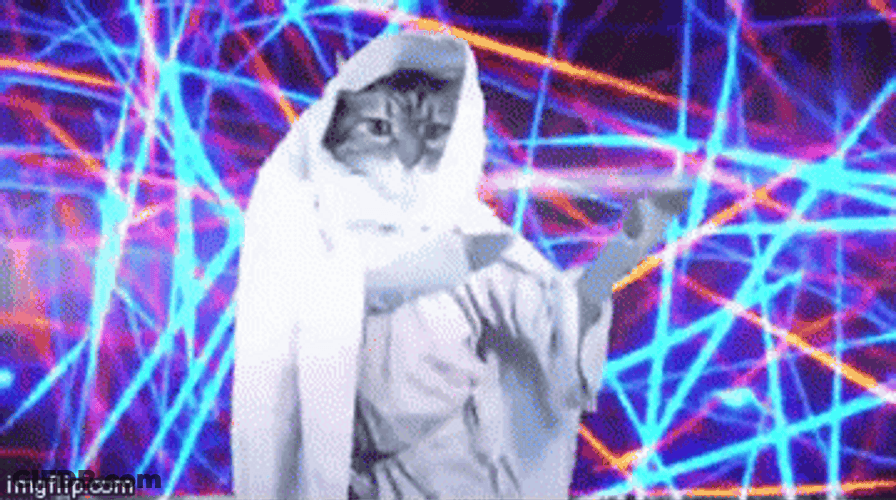 Hilarious Birthday Cat Sway Dance GIF