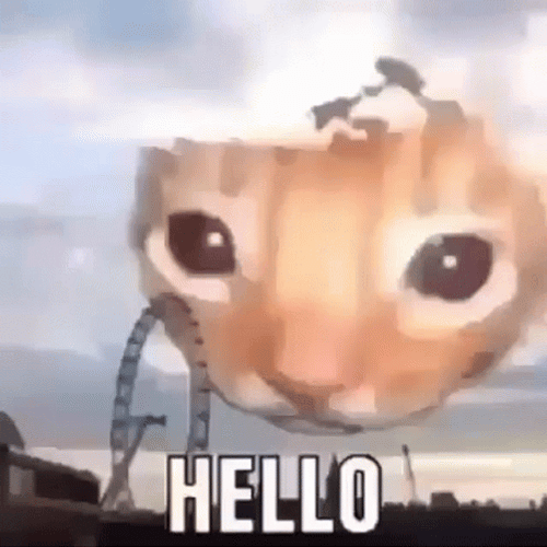 Hilarious Cat Face Greets Hello Meme GIF