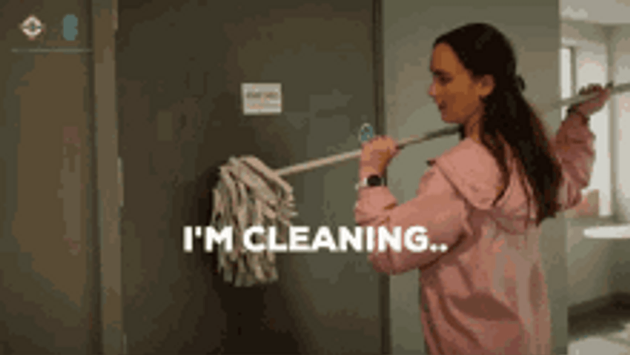 Hilarious Cleaning Meme Mopping The Door GIF