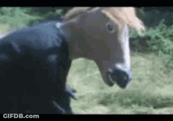 Hilarious Funny Horse Mask Stare Scary Surprise GIF