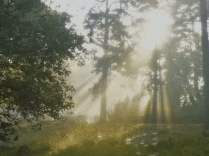 Hilarious Good Morning Dark Prince Goth Lady GIF
