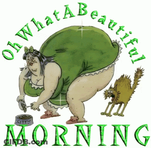 Hilarious Good Morning Frightened Cat GIF