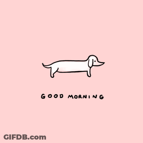 Hilarious Good Morning Hotdog Stretching GIF