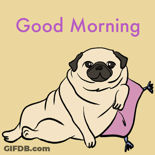 Hilarious Good Morning Pug Wink GIF