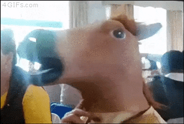 Hilarious Horse And Doge Funny Mask GIF