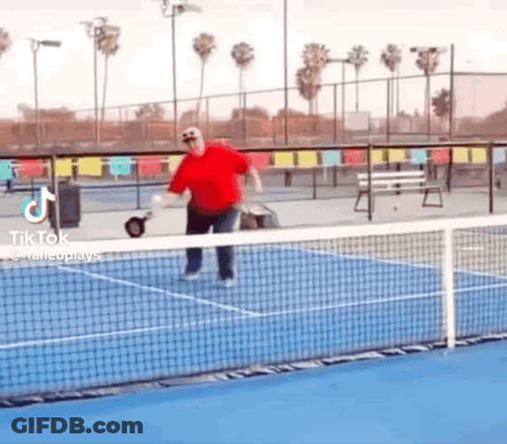 Hilarious Pickleball Game Player Net Dive GIF