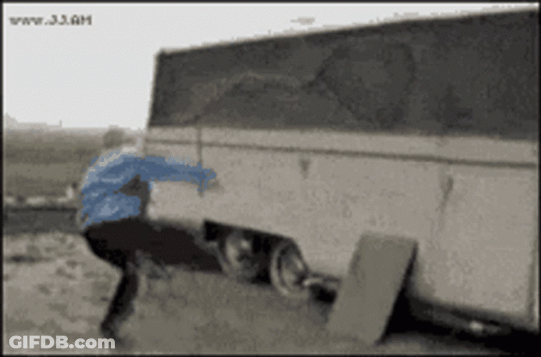 Hilarious Rooster Chasing Boy GIF
