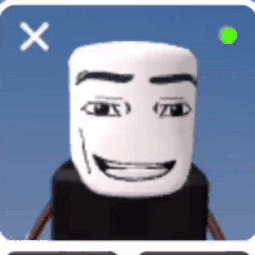 Hilarious Silly Face Roblox Meme GIF