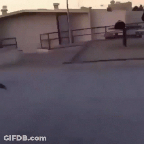 Hilarious Tumbling Fail Faceplant GIF