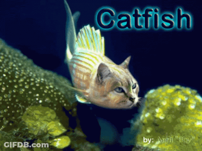 Hilarious Underwater Catfish GIF