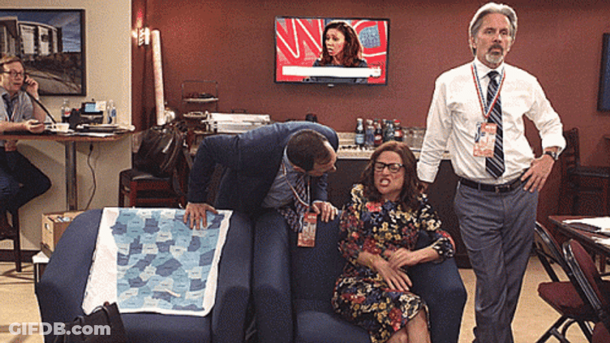 Hilarious Veep Selena Meyer Shouting No GIF
