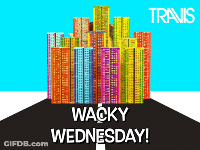 Hilarious Wacky Wednesday GIF