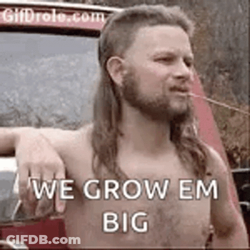 Hillbilly GIF