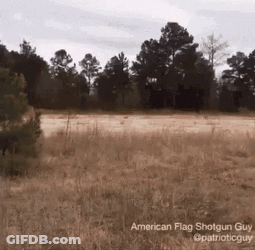 Hillbilly GIF