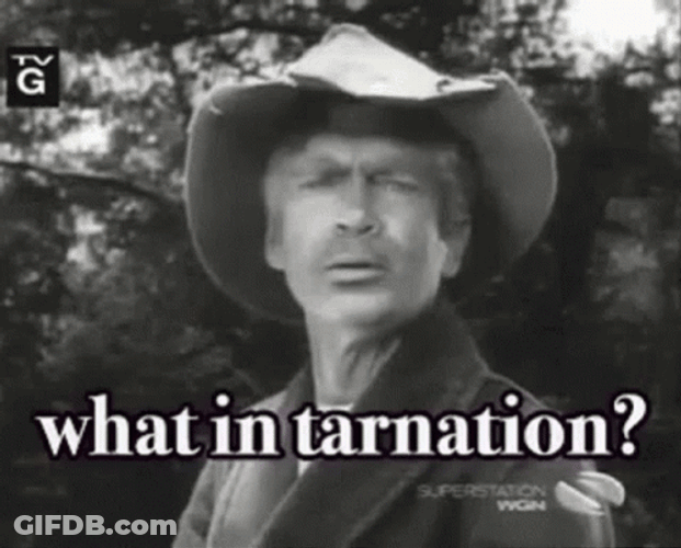 Hillbilly Jed Clampett Vintage Video Clip GIF