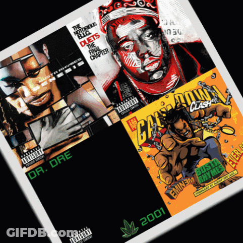 Hip Hop Albums Dr Dre Eminem Busta Rhymes GIF