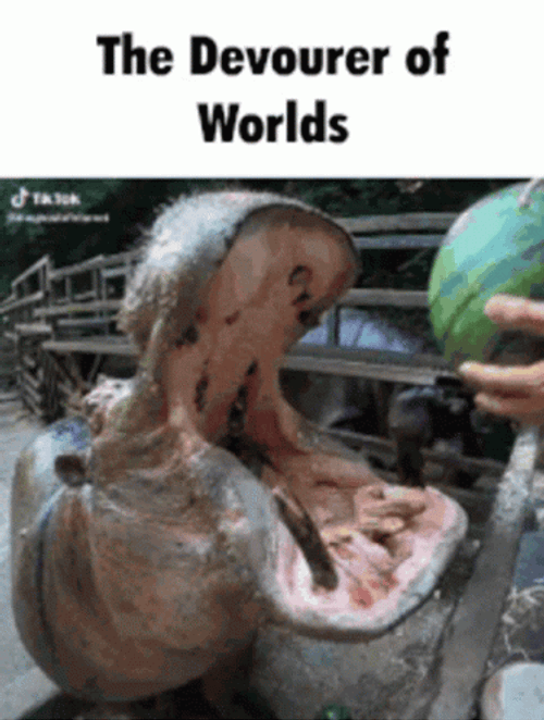 Hippo Crushing Watermelon In Mount GIF
