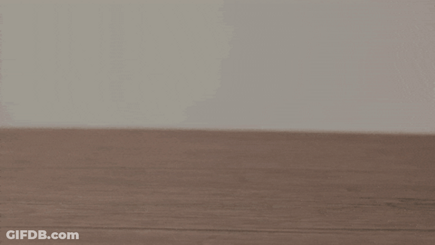 Hippo Poop Coffee Makes Me Poop GIF