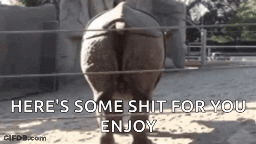 Hippo Poop Here's Some Shit For You Enjoy GIF