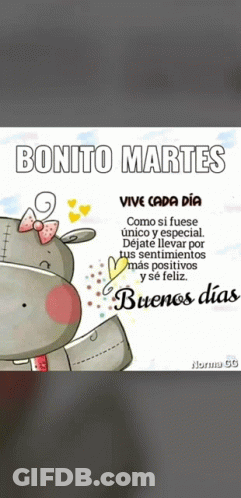 Hippo Saying Bonito Martes Vive Cada Dia GIF