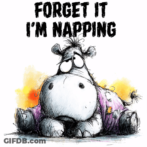 Hippo Saying Forget It I'm Napping GIF
