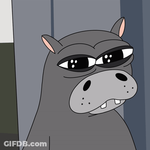 Hippo Wearing Sunglasses With Serious Look GIF