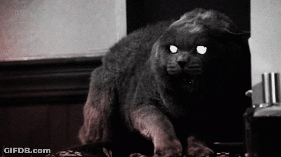 Hissing Cat Boss Mode GIF