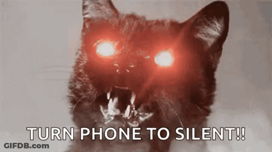 Hissing Cat Mad Dash GIF