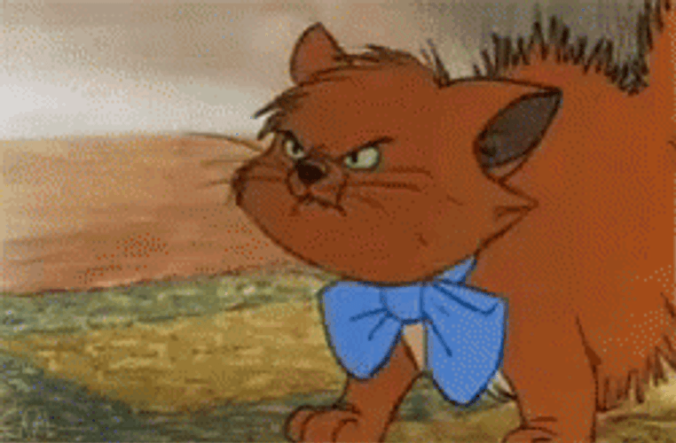 Hissing Cat Soft Snarl GIF