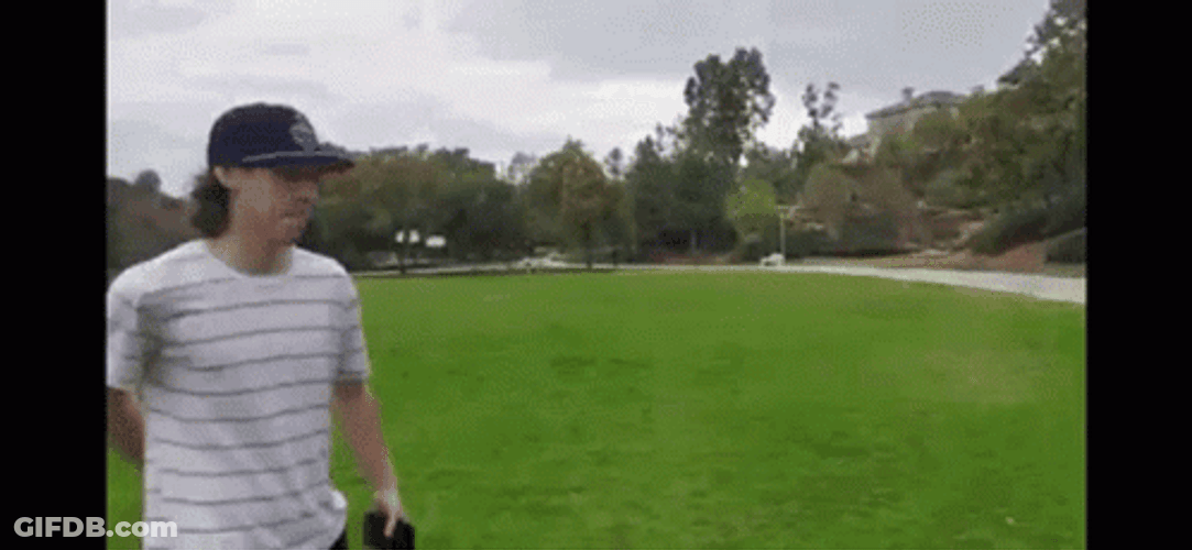 Hit Stick Hiding Bat GIF