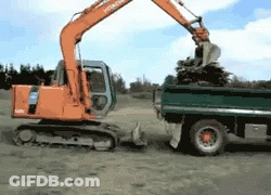 Hitachi Excavator Loading Dump Truck With Branches GIF