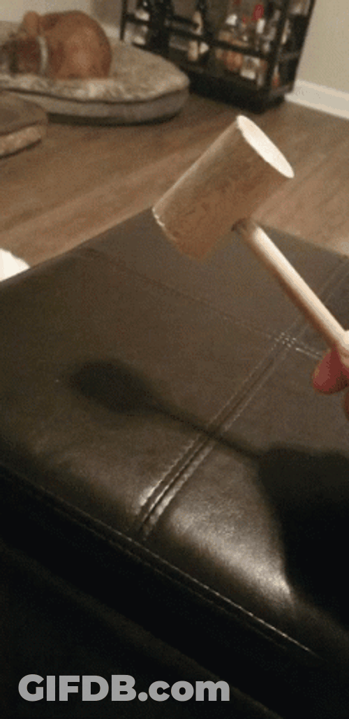 Hitting Gavel On Couch GIF