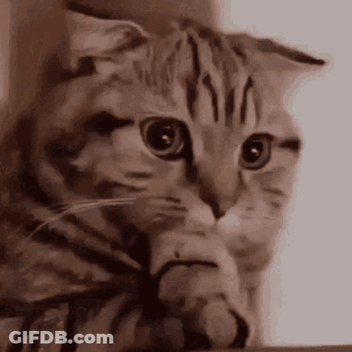 Hm GIF