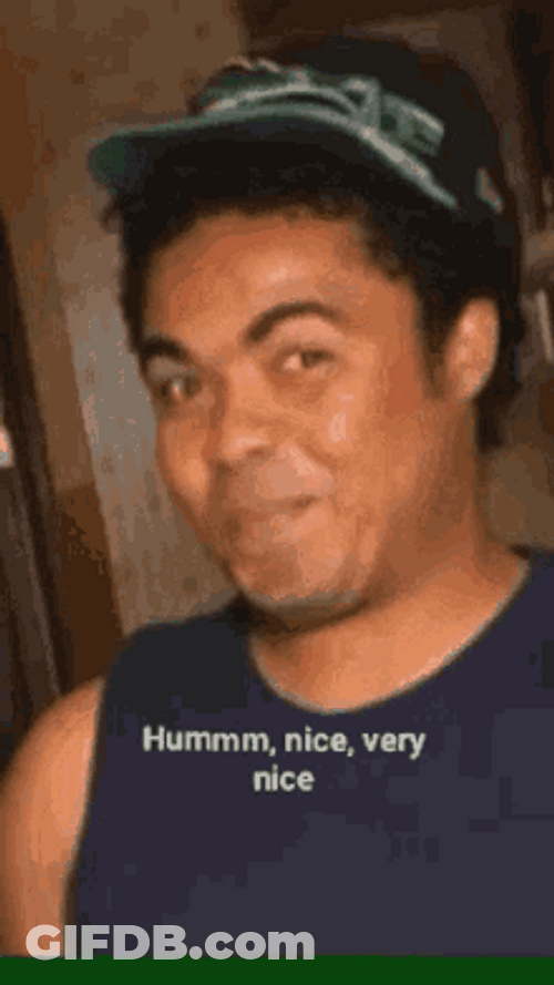 Hmmm Nice Very Nice GIF