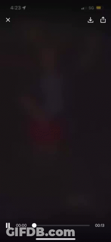 HNK Sibenik Logo With Snake GIF