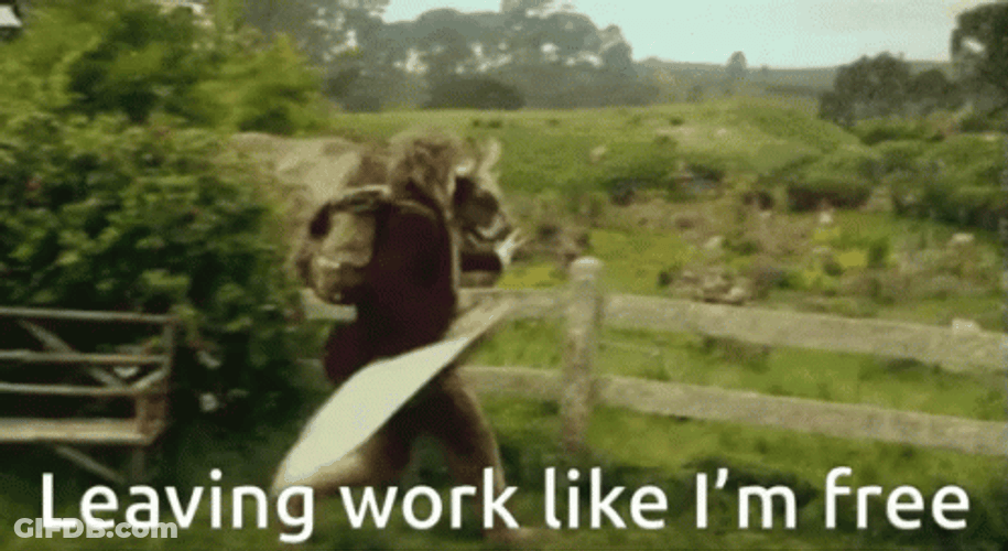 Hobbit Spoiler Leaving Work Im Free GIF