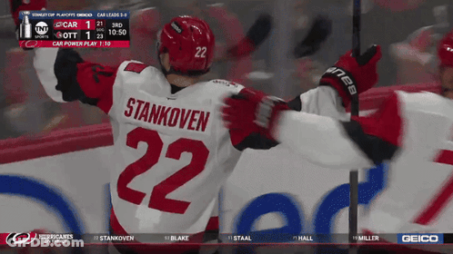 Hockey Crowd Carolina Crows Vs Toronto Maple Leafs GIF