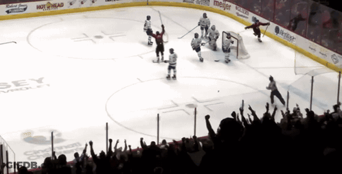 Hockey Game At Cincinnati Chamber GIF